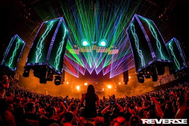 Reverze - Interconnected