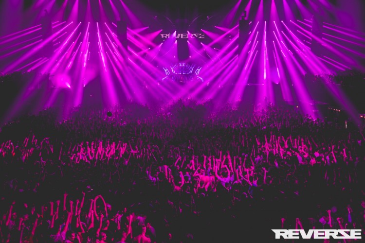 Reverze - Interconnected